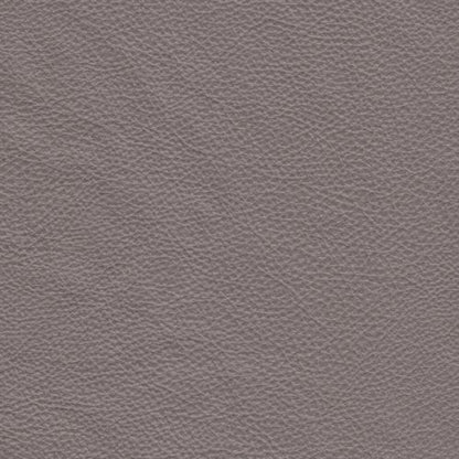 Alice Leather Sectional